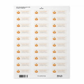 Little Pumpkin Herfst Douche Verjaardag Etiket (Full Sheet)
