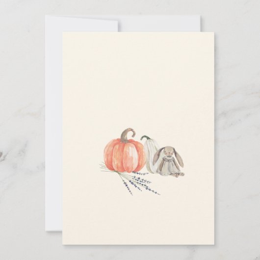 Little Pumpkin Herfst Kleding Meisje Baby shower Kaart (Achterkant)