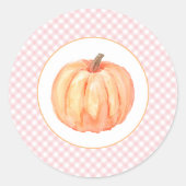 Little Pumpkin pastel roze plaid first jarig Ronde Sticker (Voorkant)