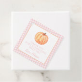 Little Pumpkin Pastel roze plaid first verjaardag Bedankjes Labels (In situ)