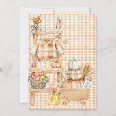 Little Pumpkin Rustic Boerderij Herfst Baby shower Kaart (Achterkant)
