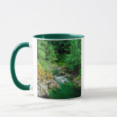 Little Qualicum-rivier Mok (Links)