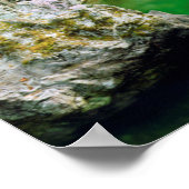 Little Qualicum-rivier Poster (Hoek)