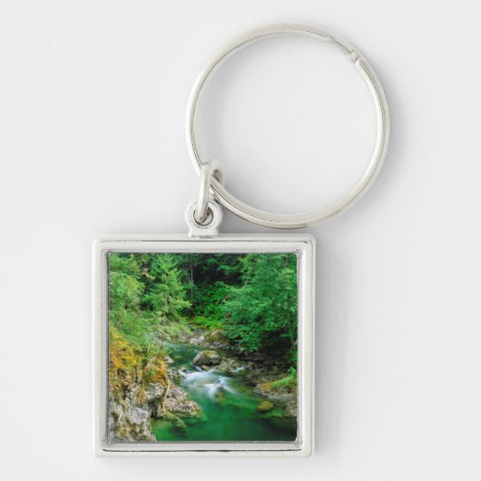Little Qualicum-rivier Sleutelhanger (Voorkant)