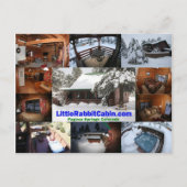 Little Rabbit Cabin Post Card Briefkaart (Voorkant)