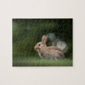 Little Rabbit Natuur Foto Legpuzzel (Horizontaal)
