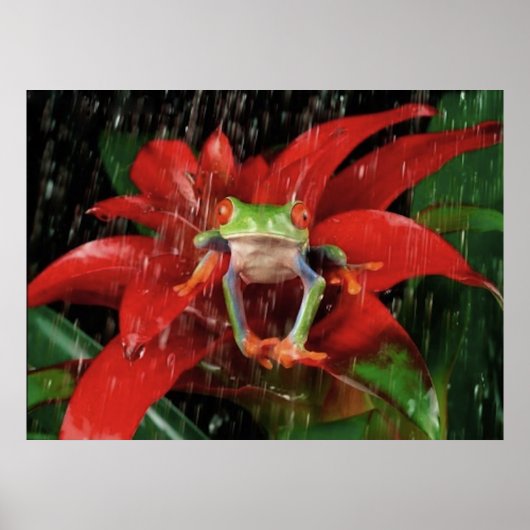 Little_Rain_(4) Poster (Voorkant)