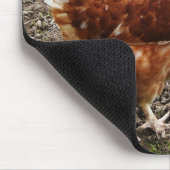 Little Red Chicken - Free Range Egg Layer Muismat (Hoek)