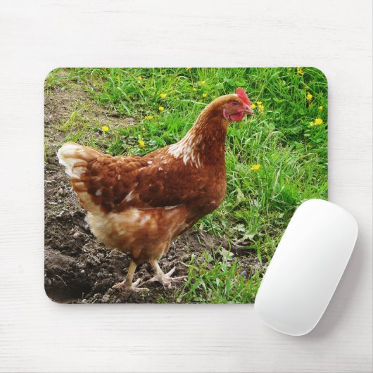 Little Red Chicken - Free Range Egg Layer Muismat (Met muis)