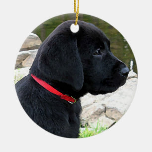 Little Red Collar - Black Lab Puppy - Labrador Keramisch Ornament