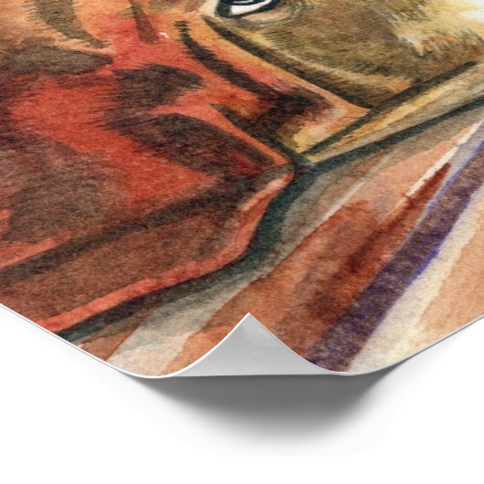 Little Red Hen Poster (Hoek)