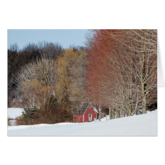 Little Red House (Voorkant Horizontaal)