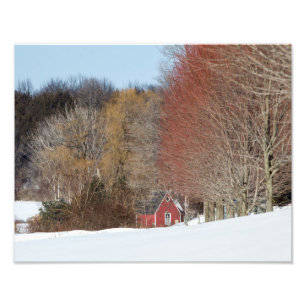 Little Red House Foto Afdruk
