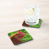 Little Red Laying Hen - RIR of ISA Brown Chicken Onderzetter (Rechterzijde)