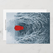 Little Red Riding Hood (Voorkant / Achterkant)