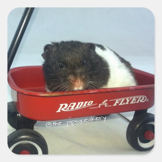 Little Red Wagon Vierkante Sticker (Voorkant)