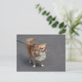 Little Redhead Briefkaart (Staand voorkant)