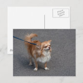 Little Redhead Briefkaart (Voorkant / Achterkant)