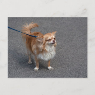 Little Redhead Briefkaart