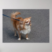 Little Redhead Poster (Voorkant)