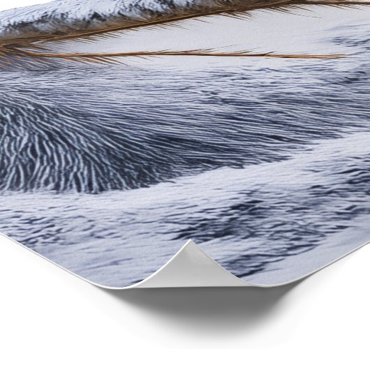 Little Robin bird Poster (Hoek)