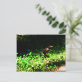 Little Robin Briefkaart (Staand voorkant)