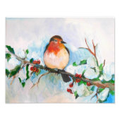 Little Robin Foto Afdruk (Voorkant)