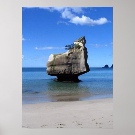 Little Rock Hahei Cathedral Cove New Zealand Poster (Voorkant)