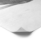 Little Rodeo Star: 1923 Poster (Hoek)