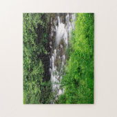 Little Sandy River en varens Legpuzzel (Verticaal)