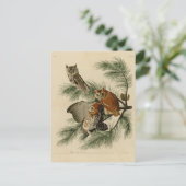 Little Screech Owl Briefkaart (Staand voorkant)
