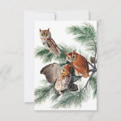 Little Screech Owl door John James Audubon Bedankkaart (Voorkant)