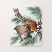 Little Screech Owl door John James Audubon Legpuzzel (Verticaal)