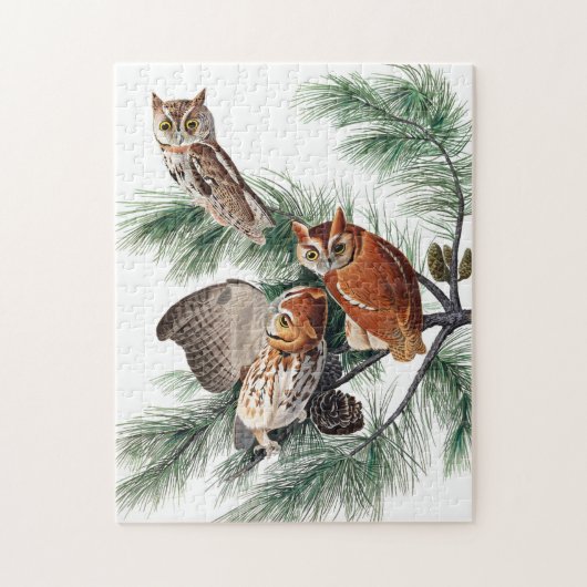 Little Screech Owl door John James Audubon Legpuzzel (Verticaal)