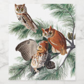 Little Screech Owl door John James Audubon Wijn Etiket (Enkel label)