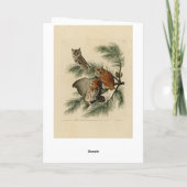 Little Screech Owl from Audubon's Birds of America Kaart (Achterkant)