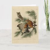 Little Screech Owl from Audubon's Birds of America Kaart (Voorkant)