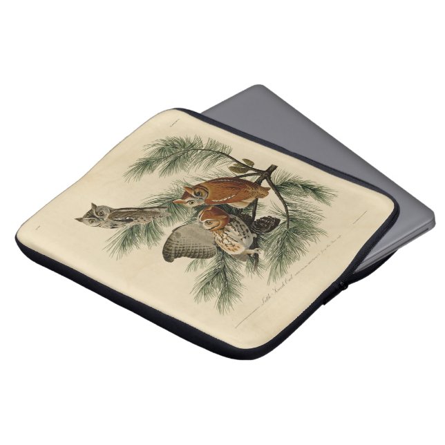 Little Screech Owl from Audubon's Birds of America Laptop Sleeve (Voorkant top)