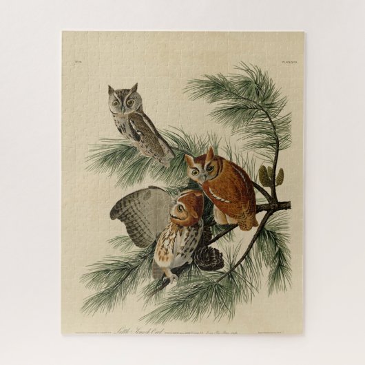 Little Screech Owl from Audubon's Birds of America Legpuzzel (Verticaal)