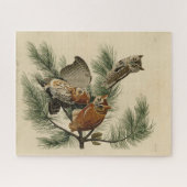 Little Screech Owl from Audubon's Birds of America Legpuzzel (Horizontaal)