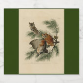 Little Screech Owl from Audubon's Birds of America Sparkling Wijnetiket (Enkel label)