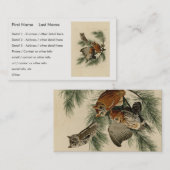 Little Screech Owl from Audubon's Birds of America Visitekaartje (Voorkant / Achterkant)