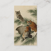Little Screech Owl from Audubon's Birds of America Visitekaartje (Achterkant)