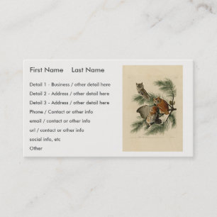 Little Screech Owl from Audubon's Birds of America Visitekaartje