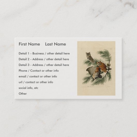 Little Screech Owl from Audubon's Birds of America Visitekaartje (Voorkant)