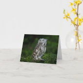 Little Screech Owl note card Kaart (Gele Bloem)