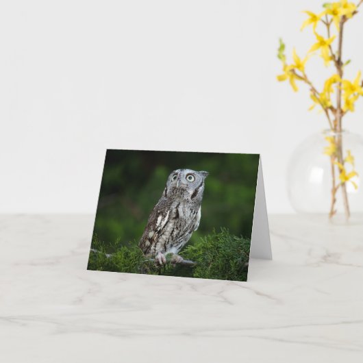Little Screech Owl note card Kaart (Gele Bloem)