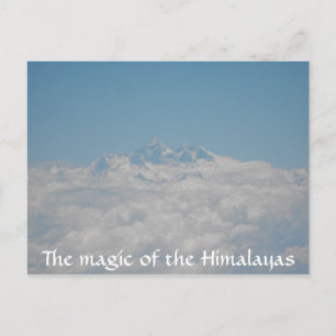 Little Seeds Post Card 4 Briefkaart