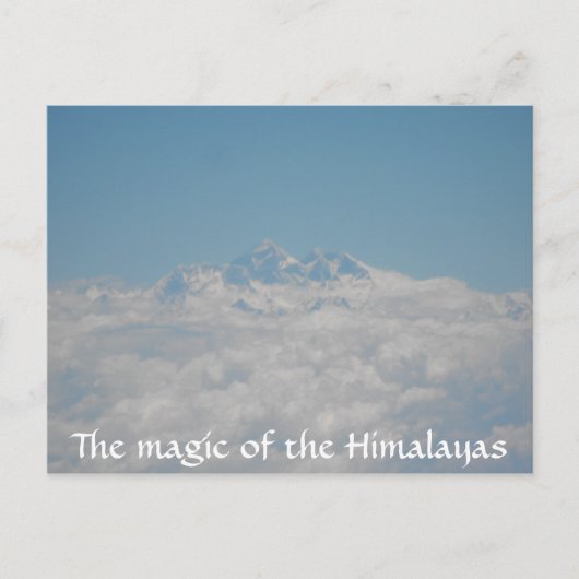 Little Seeds Post Card 4 Briefkaart (Voorkant)