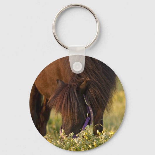 Little Sharni Shetland Pony Sleutelhanger (Voorkant)